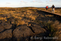 Petroglifs Lloa Pu'u. Volcans de Hawaii Parc Nacional. Illa Gran.